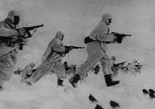 The spy pigeons in a battlefield during World War II,1942 The spy pigeons in a battlefield during World War II,1942