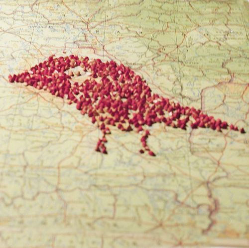 The secret map of the pigeon mission The secret map of the pigeon mission