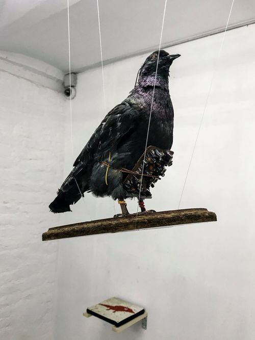 Installation view: Prototype of the spy-pigeon, 1942 Installation view: Prototype of the spy-pigeon, 1942